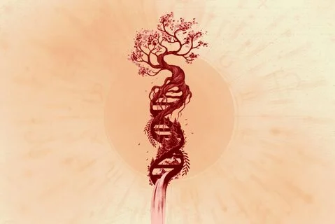Biodecodificación Árbol Genealógico